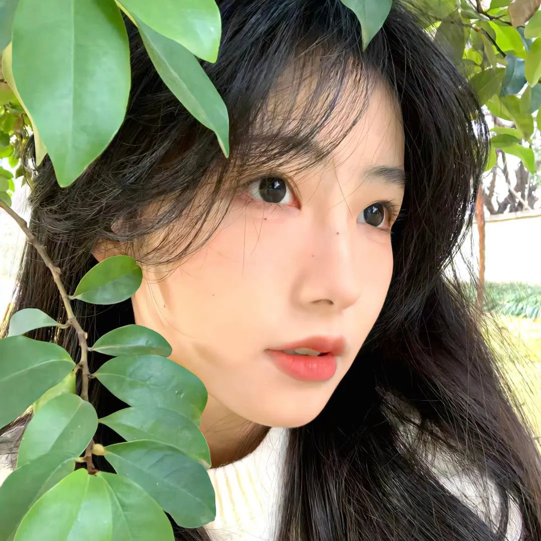 黑色树海